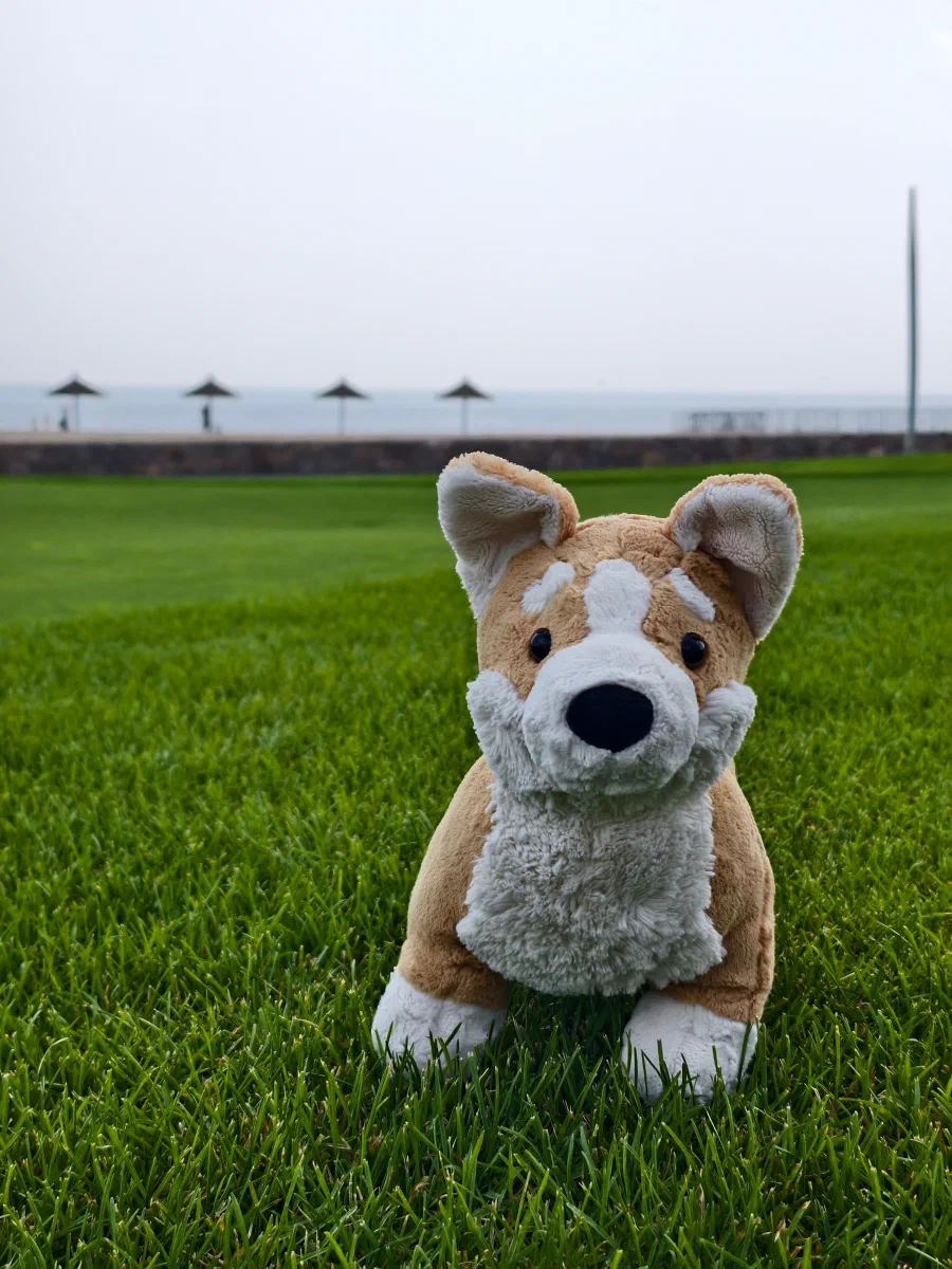 A plush dog sitting on grass by the waterfront